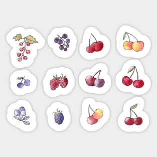 Cute berries sketches Sticker